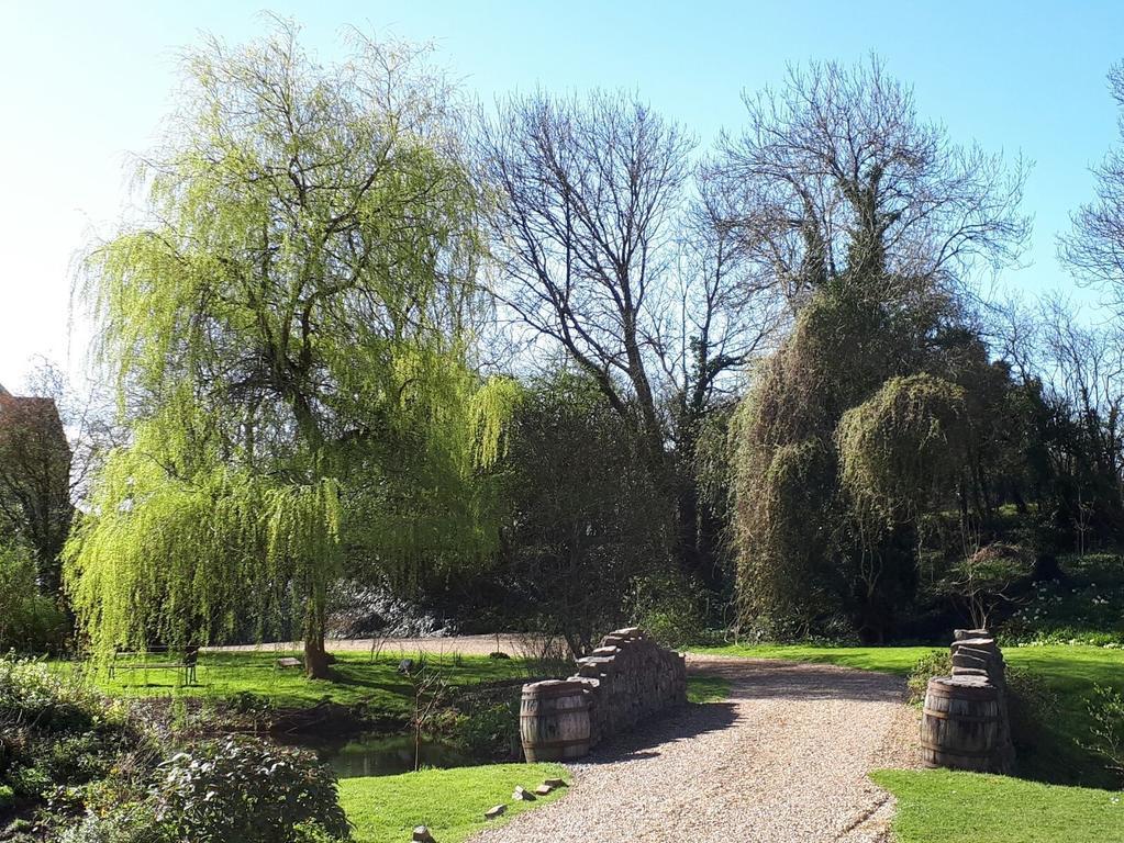 Hotel Glyndwr Vineyard à Cowbridge Extérieur photo